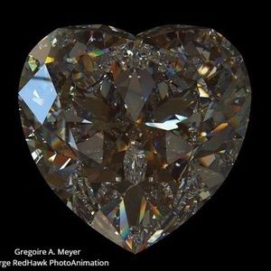 Meet your Posher, Ray